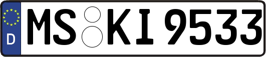 MS-KI9533
