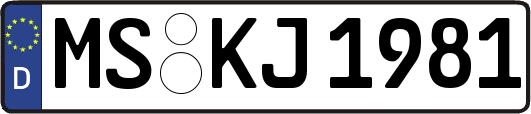 MS-KJ1981