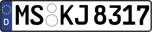 MS-KJ8317