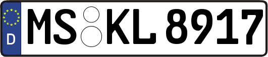 MS-KL8917