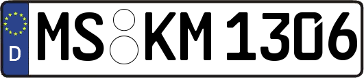 MS-KM1306