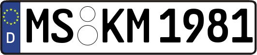 MS-KM1981