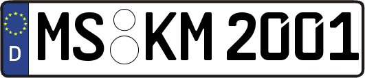 MS-KM2001