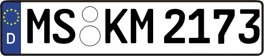 MS-KM2173