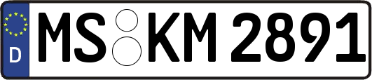 MS-KM2891