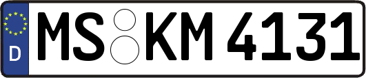 MS-KM4131