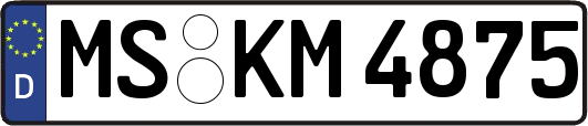 MS-KM4875