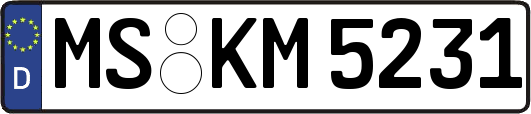 MS-KM5231