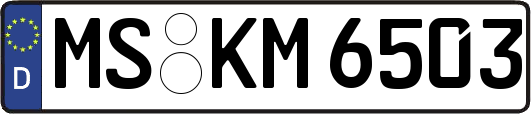 MS-KM6503