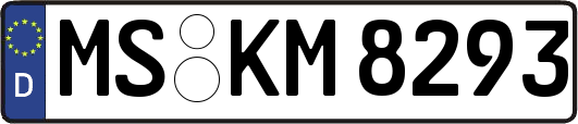 MS-KM8293