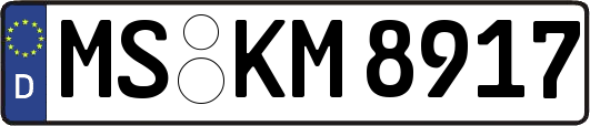 MS-KM8917
