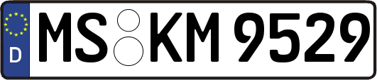 MS-KM9529