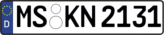 MS-KN2131