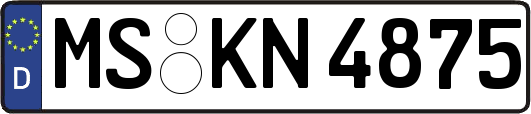 MS-KN4875