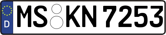 MS-KN7253