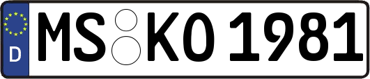 MS-KO1981