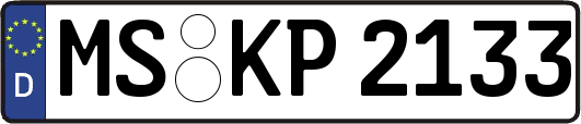 MS-KP2133