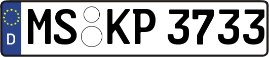MS-KP3733