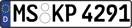 MS-KP4291