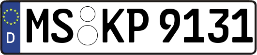 MS-KP9131