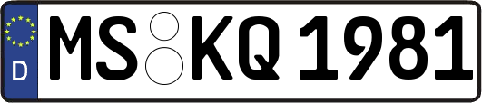 MS-KQ1981
