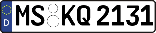 MS-KQ2131