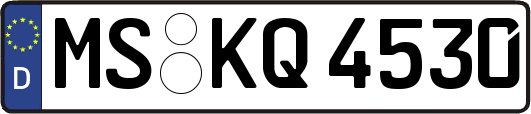MS-KQ4530