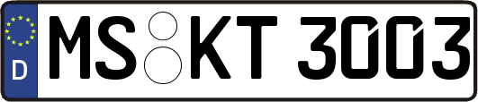 MS-KT3003