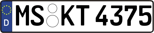 MS-KT4375