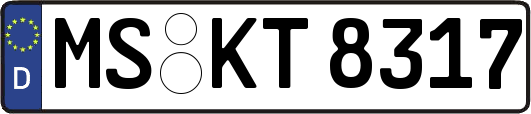 MS-KT8317