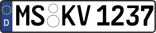 MS-KV1237