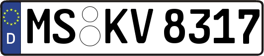 MS-KV8317