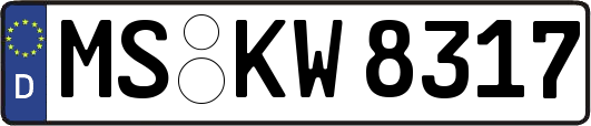MS-KW8317