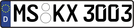 MS-KX3003
