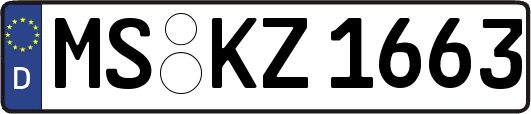 MS-KZ1663