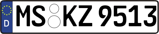 MS-KZ9513