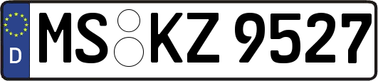 MS-KZ9527