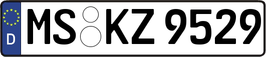 MS-KZ9529