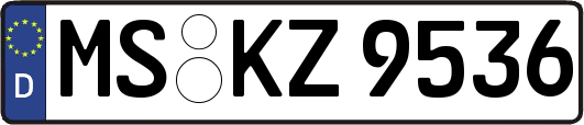 MS-KZ9536