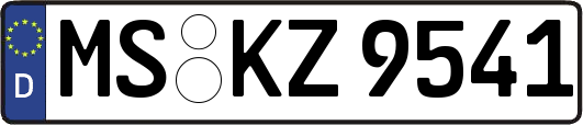 MS-KZ9541