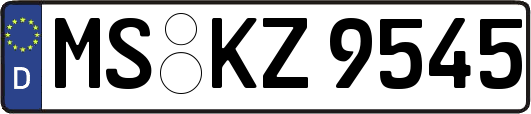 MS-KZ9545
