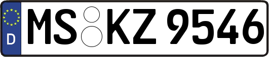 MS-KZ9546