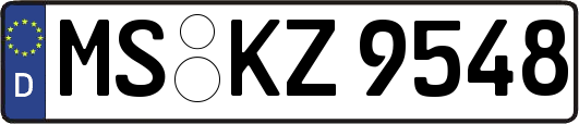 MS-KZ9548
