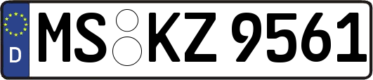 MS-KZ9561