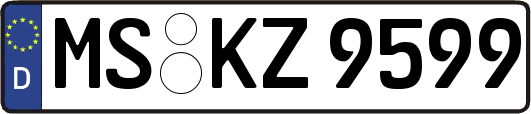 MS-KZ9599