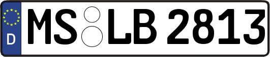 MS-LB2813