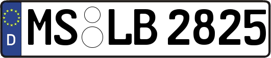 MS-LB2825
