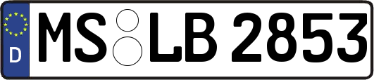 MS-LB2853