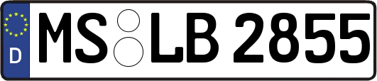 MS-LB2855