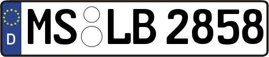 MS-LB2858